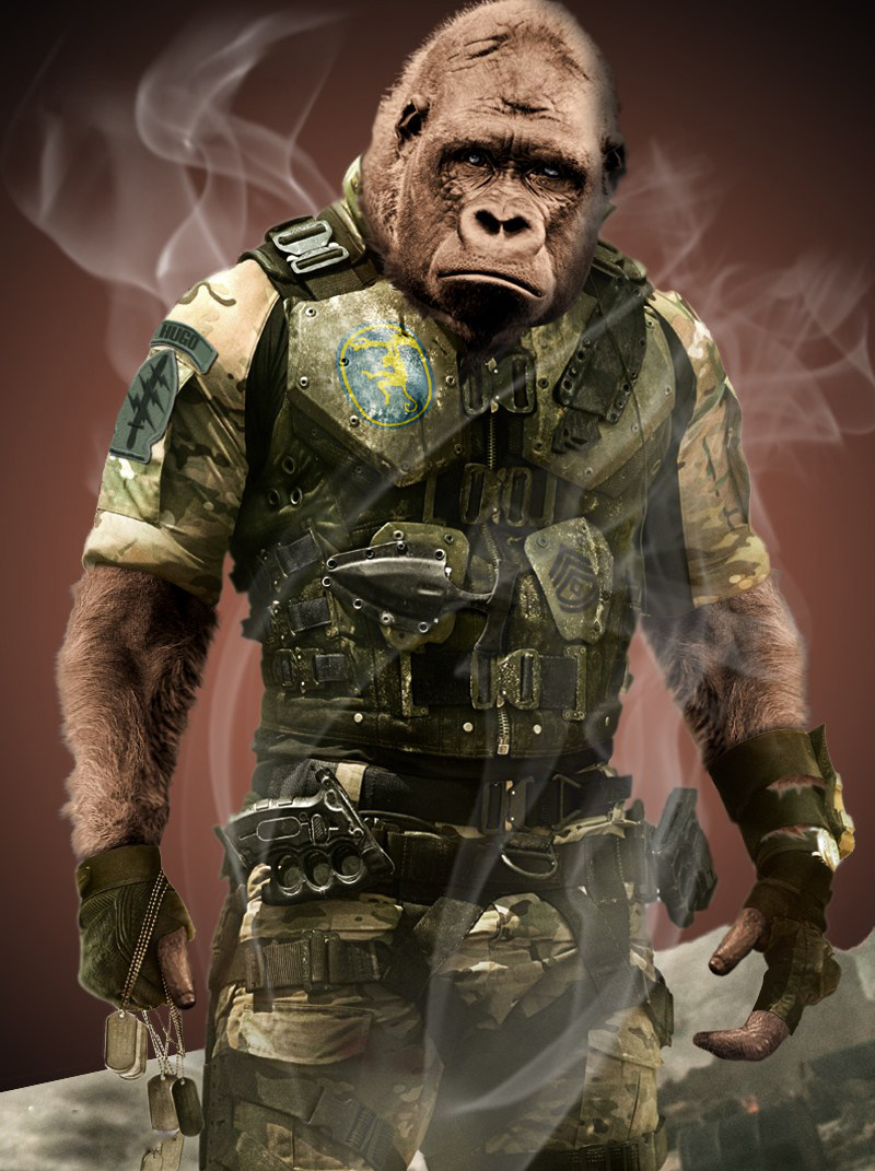 Home Page Image